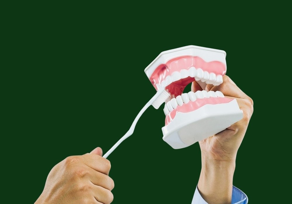 how to brush your teeth properly