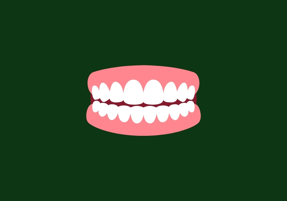 what does healthy gums look like